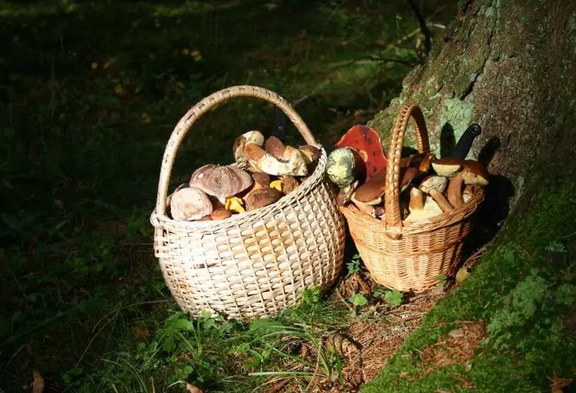 پانسیون Apartmány Záhořovo Lože