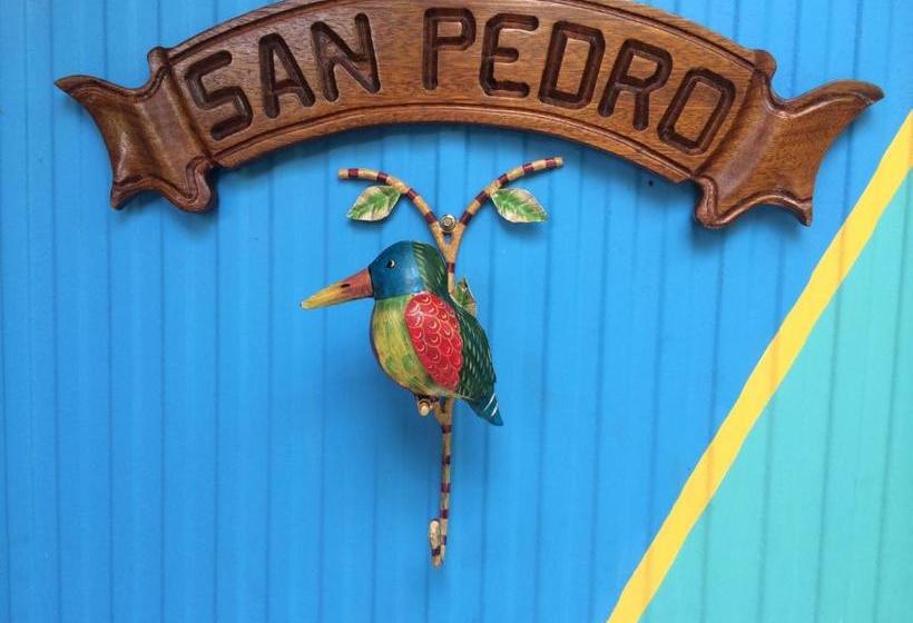 פנסיון Award Winning Beach Front Retreat