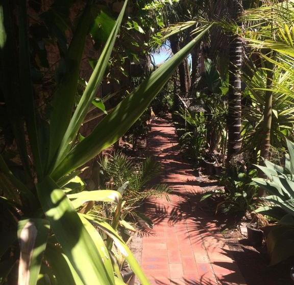 פנסיון Award Winning Beach Front Retreat