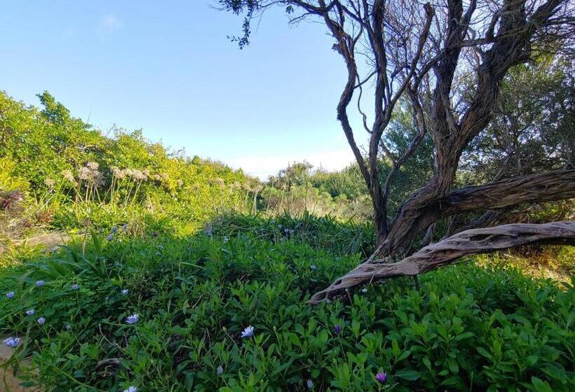 פנסיון Award Winning Beach Front Retreat