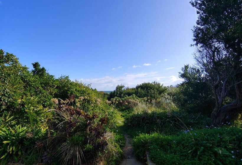 פנסיון Award Winning Beach Front Retreat