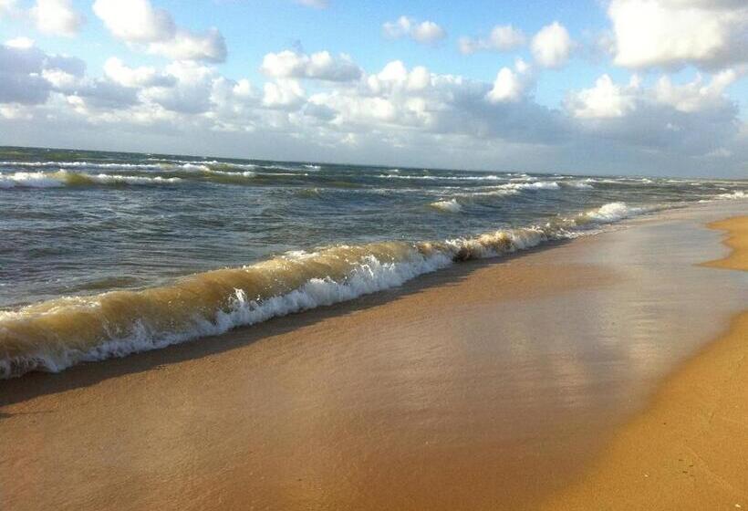 פנסיון Award Winning Beach Front Retreat