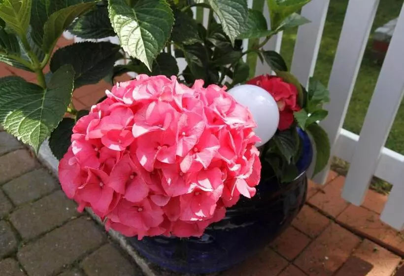 Majatalo Gästehaus Gudrun