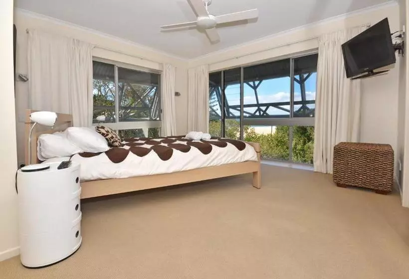 Raintrees Moffat Beach