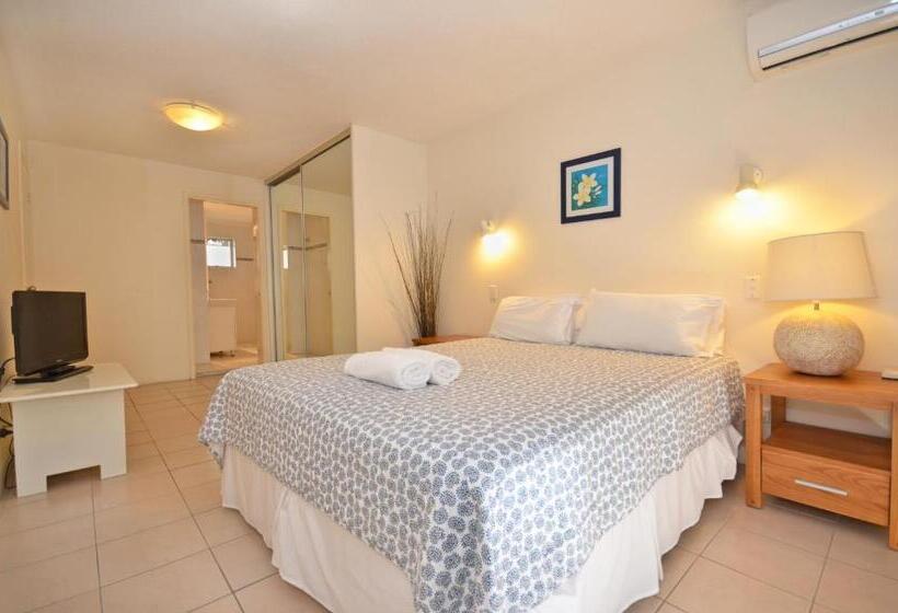 Raintrees Moffat Beach