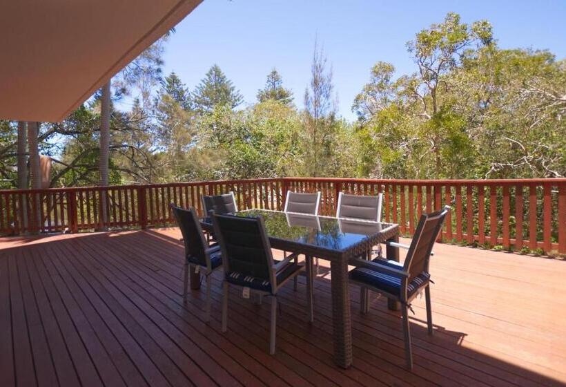 Raintrees Moffat Beach