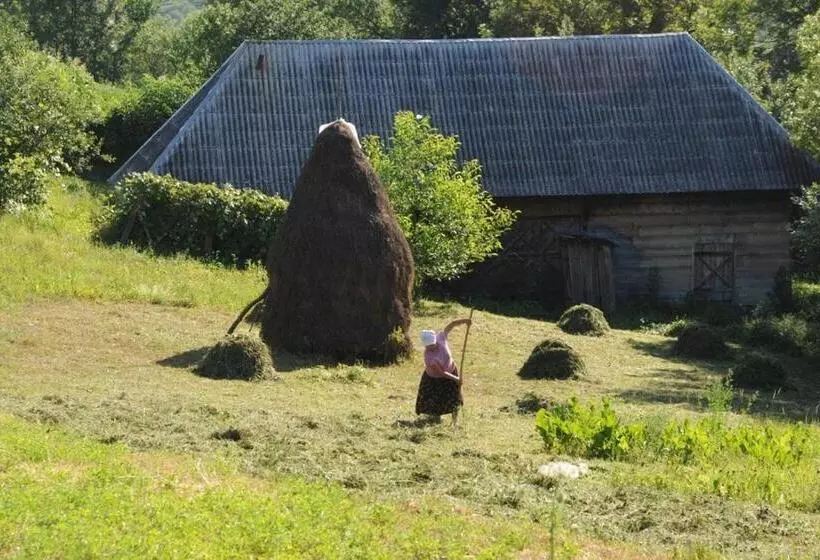 استراحتگاه The Village Pension