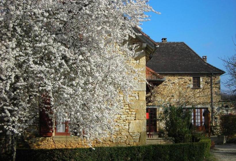 Отель Hôtel Chastrusse