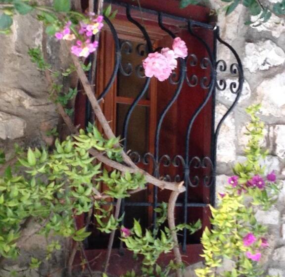 پانسیون Medusa House Butik