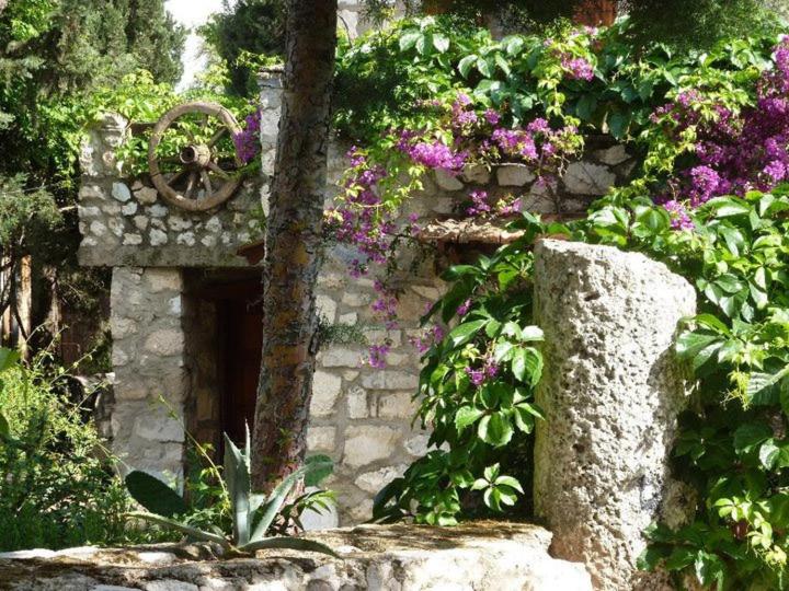 پانسیون Medusa House Butik