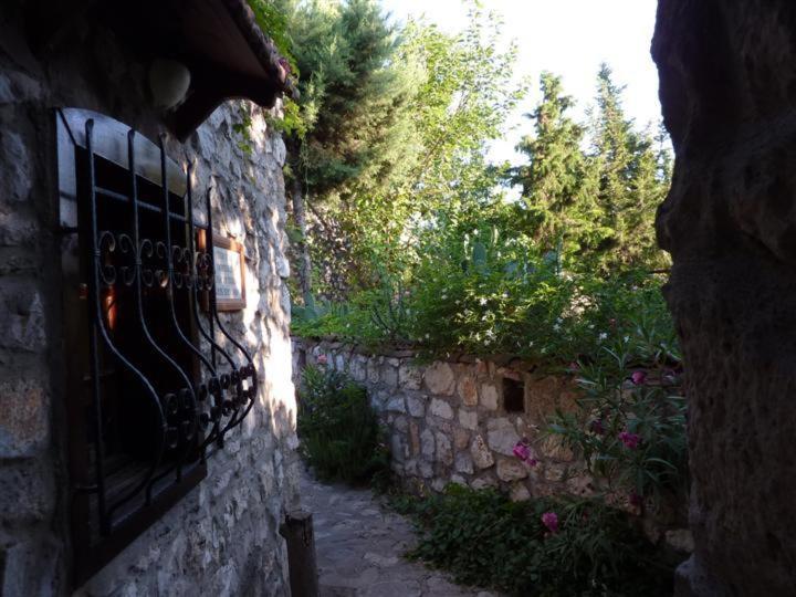 پانسیون Medusa House Butik