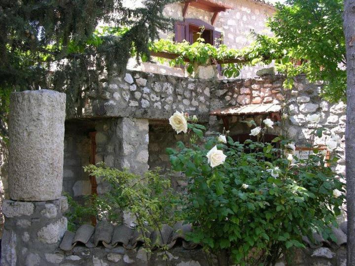 پانسیون Medusa House Butik