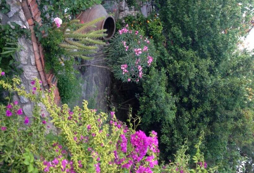 پانسیون Medusa House Butik