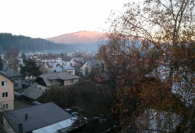 پانسیون Vila Dariana