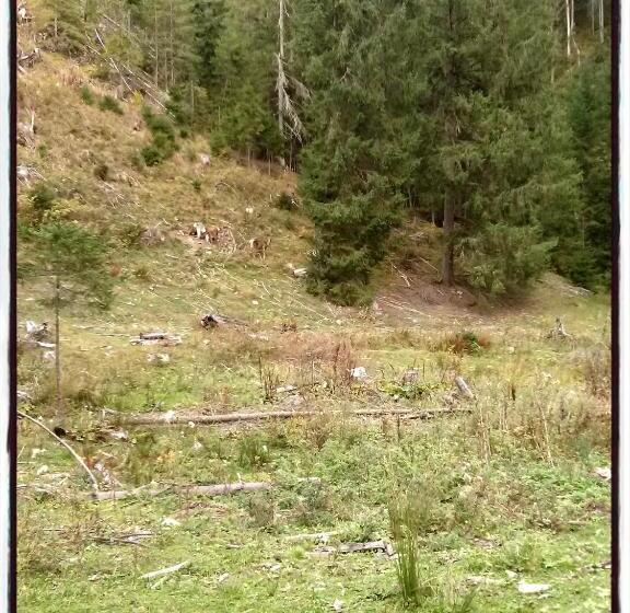 پانسیون Vila Dariana