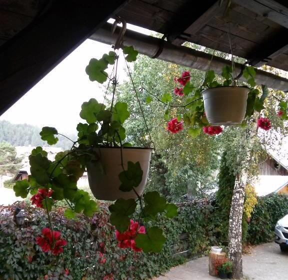 پانسیون Vila Dariana