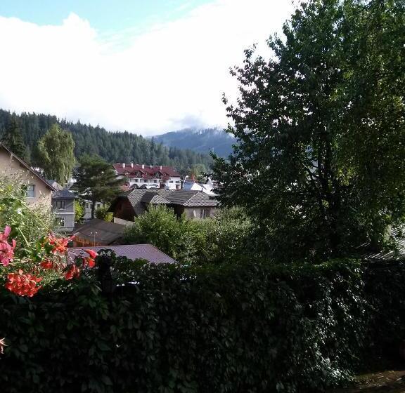 پانسیون Vila Dariana