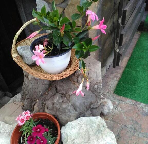 پانسیون Vila Dariana