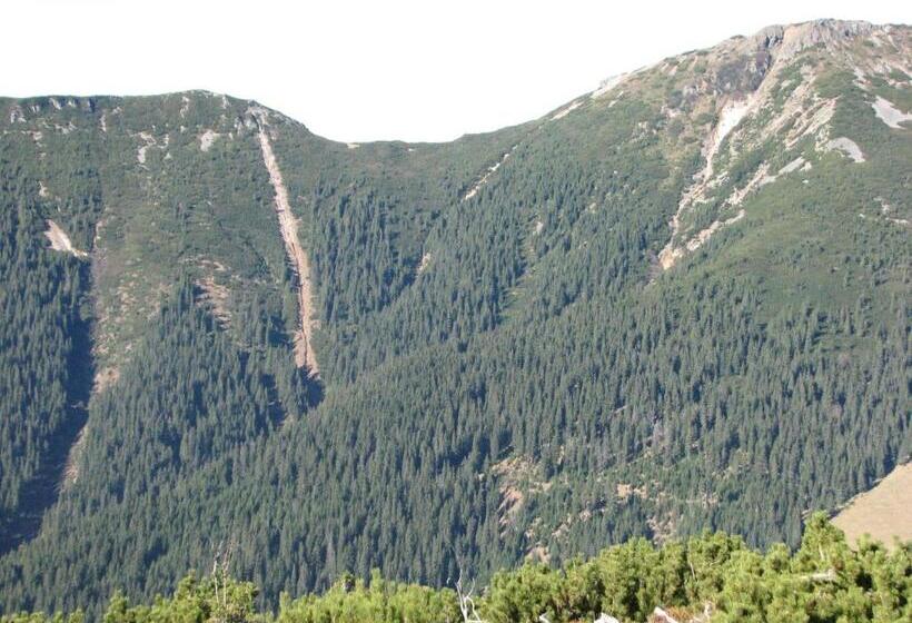 پانسیون Vila Dariana