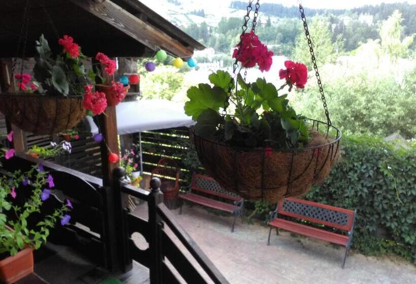 پانسیون Vila Dariana