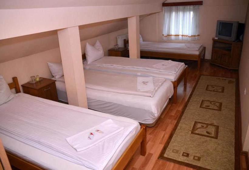 Pensiunea La Palaguta