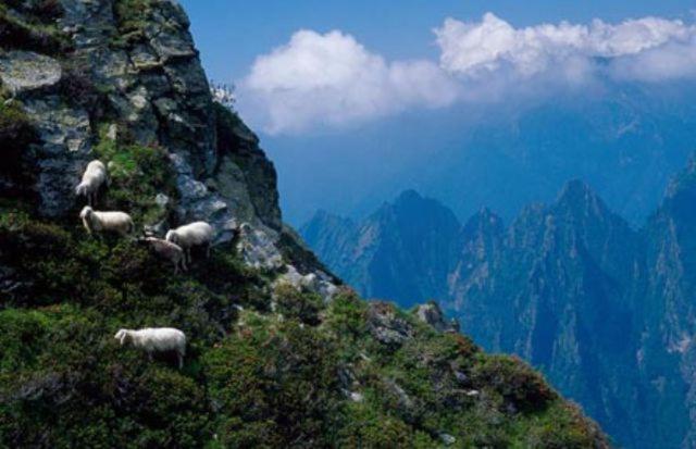 منتجع Tre Ponti Monolocale