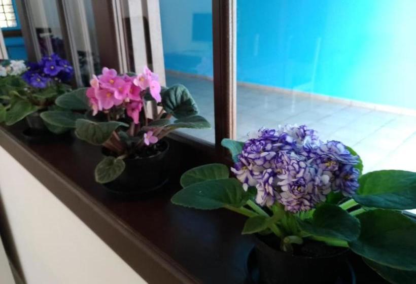 Hostel Villa Pomerânia