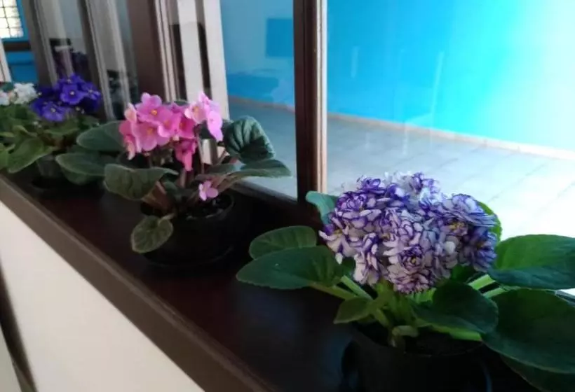 Hostel Villa Pomerânia