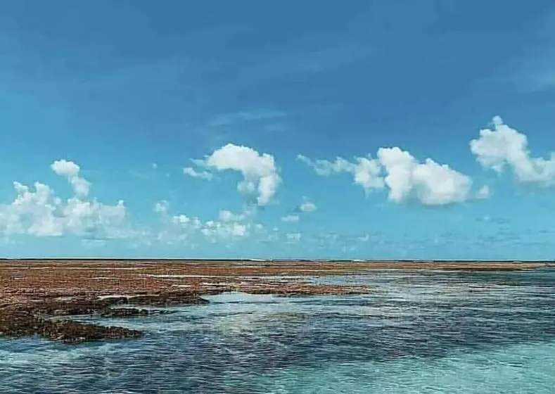 Majatalo Pousada Sao Miguel Dos Milagres