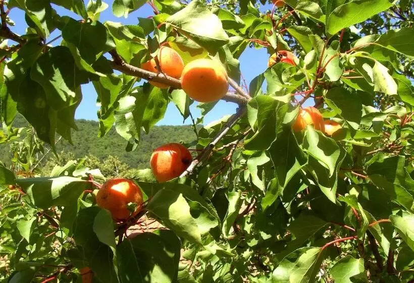 住宿加早餐  Frühstückspension Leopold Janu