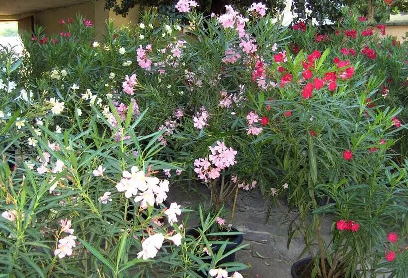 住宿加早餐  Frühstückspension Leopold Janu