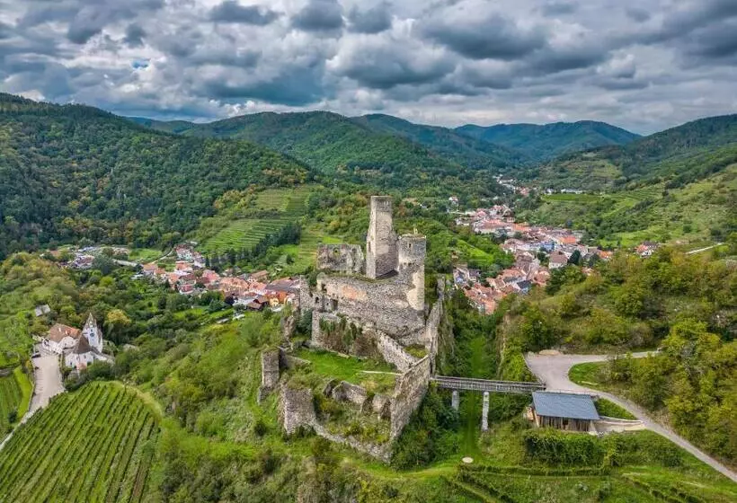 住宿加早餐  Frühstückspension Leopold Janu