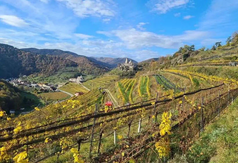 住宿加早餐  Frühstückspension Leopold Janu