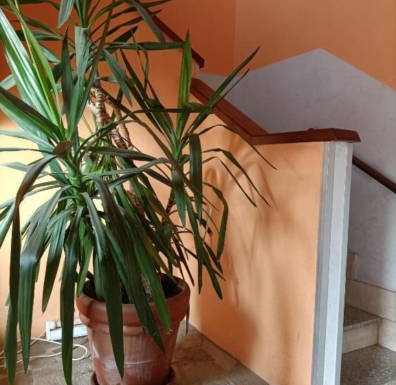 בית מלון כפרי Albergo Roma