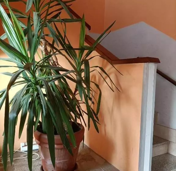 Отель Albergo Roma