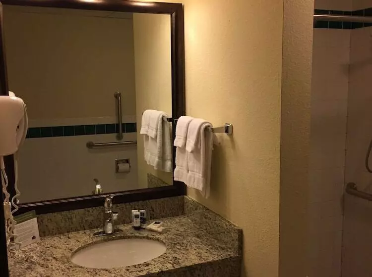 Blossom Hotel & Suites Traverse City