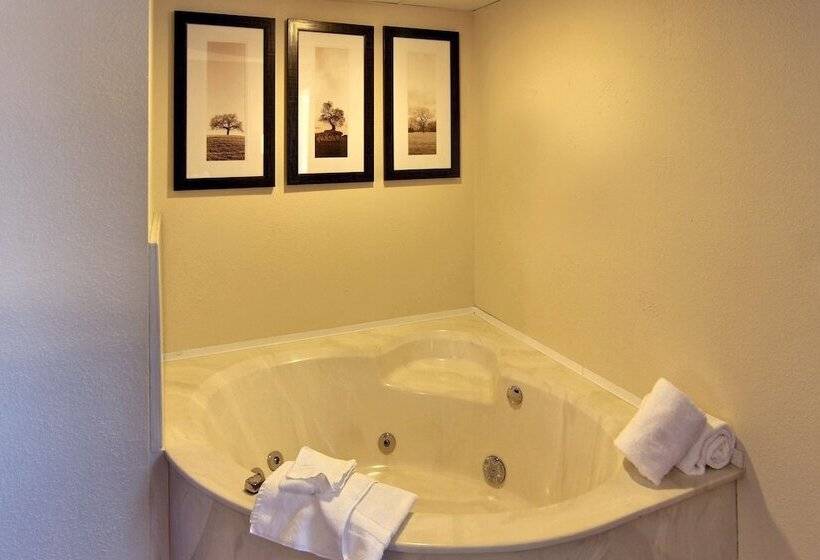 Blossom Hotel & Suites Traverse City