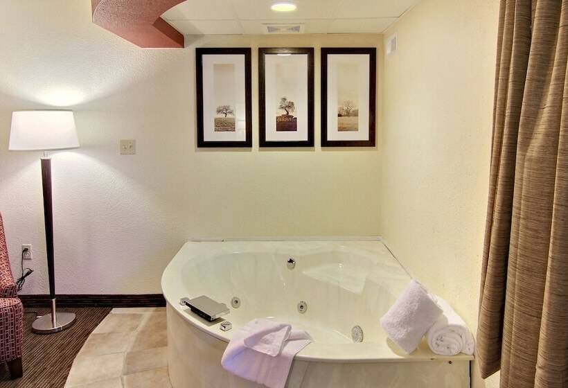 Blossom Hotel & Suites Traverse City