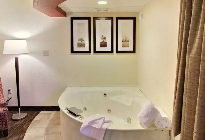 Blossom Hotel & Suites Traverse City