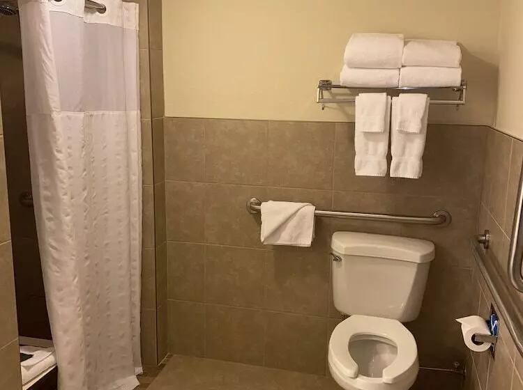 Blossom Hotel & Suites Traverse City