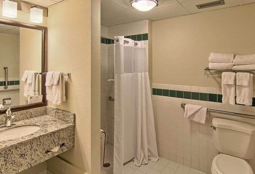 Blossom Hotel & Suites Traverse City