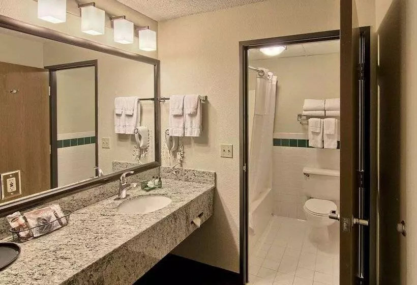 Blossom Hotel & Suites Traverse City