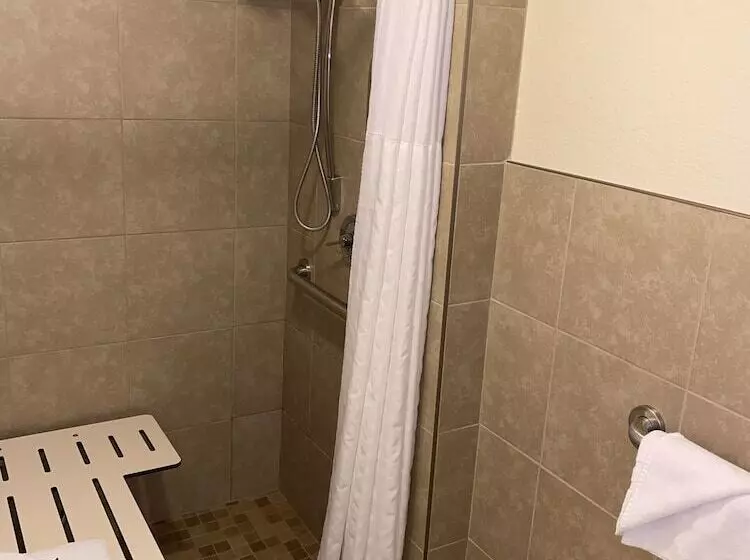 Blossom Hotel & Suites Traverse City