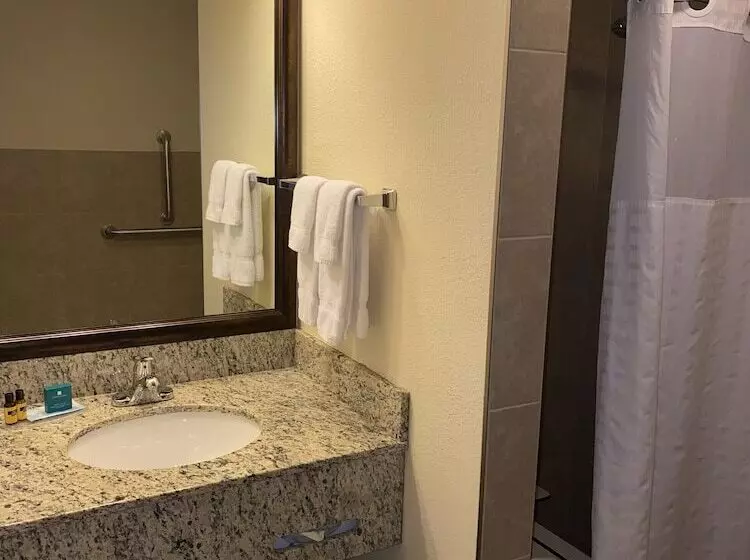 Blossom Hotel & Suites Traverse City