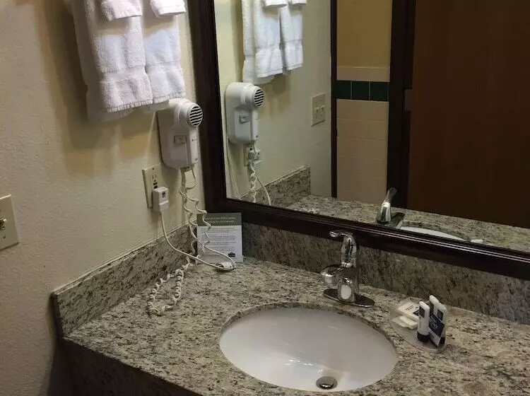 Blossom Hotel & Suites Traverse City