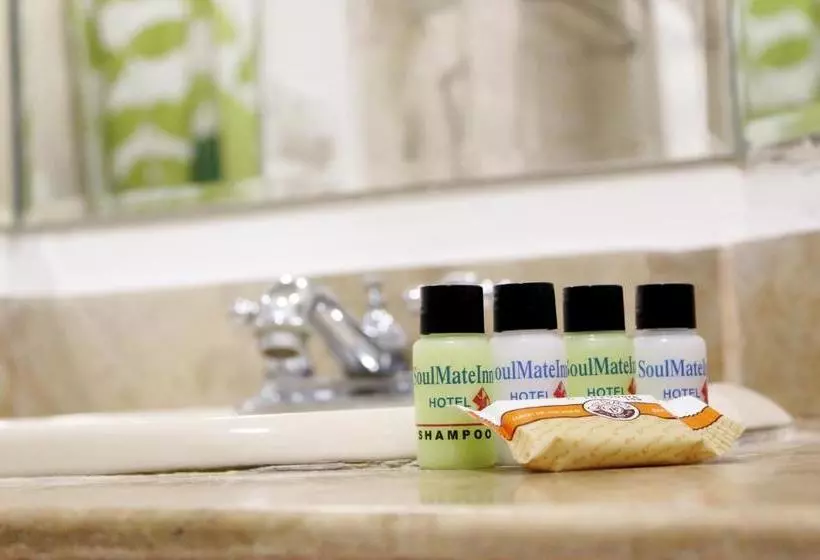 هتل Soul Mate Inn