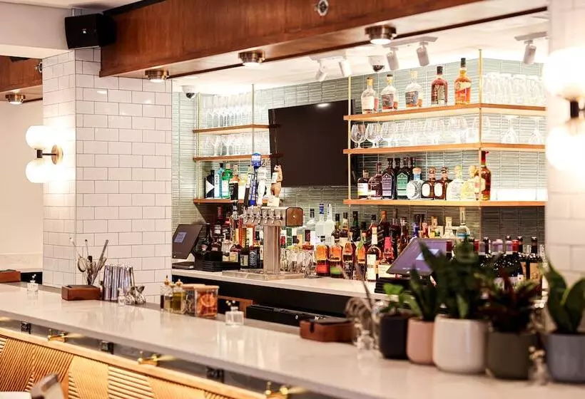 هتل The Shelburne Sonesta New York