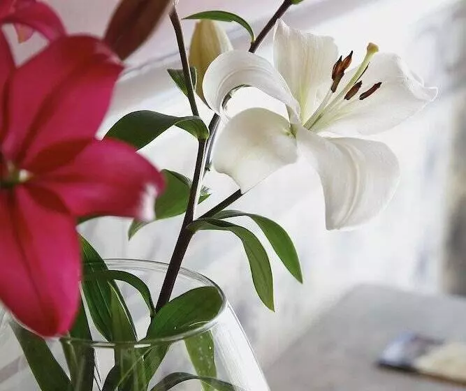 호텔 Villa De Luarca