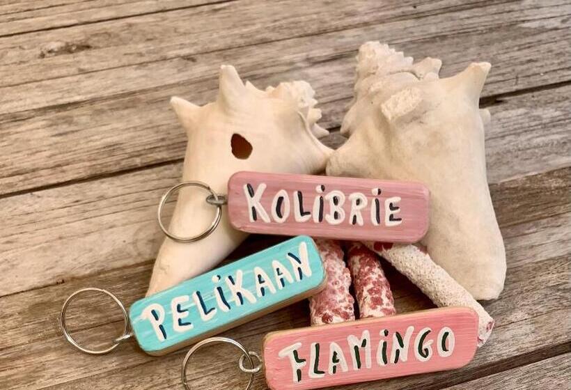 تختخواب و صبحانه Tala Lodge Bonaire