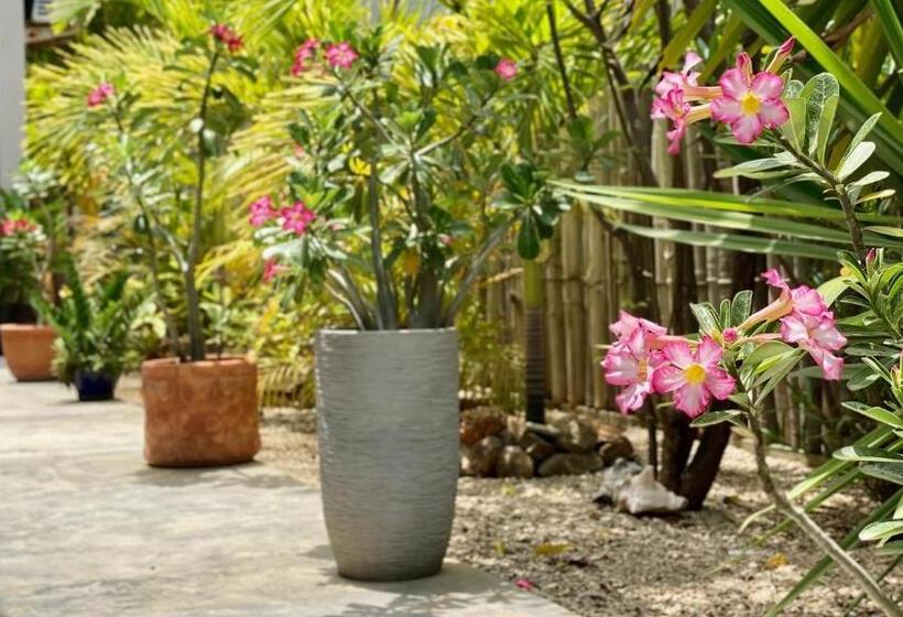 تختخواب و صبحانه Tala Lodge Bonaire